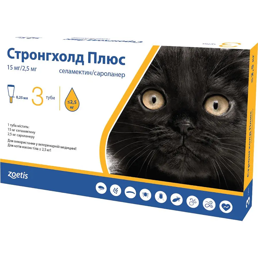 Стронгхолд